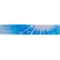 dentifricio sbiancante e antimacchie sensation white 75 ml