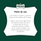 PRORASO Tutte Le Barbe - Schiuma Da Barba Rinfrescante E Tonificante Con Olio Di Eucalipto E Mentolo 100 ml
