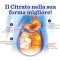 lithos 100 Compresse - Integratore Reidratante A Base Di Magnesio E Potassio