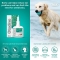 Otodine I.C.F. - Detergente Auricolare per Cani e Gatti 100 ml