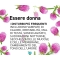 Nutriva Ioflavoni 50 Compresse - Integratore Per Disturbi Menopausa