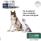 Redonyl Ultra 60 Capsule 50 Mg - Integratore Per Cani E Gatti Indicato Per Le Dermatiti