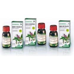 Specchiasol Gemmosol 37 Rosa Canina 50 ml - Integratore Per Le Vie Respiratorie