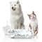 Elastopad - Pomata per la secchezza cutanea 75ml