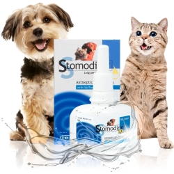 stomodine lp gel gengive 50ml