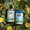 ESI Le Dieci Erbe Flor - Integratore probiotico 60 capsule