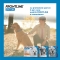 FRONTLINE spot-on antiparassitario per cani taglia media (peso 10-20 kg) 4 pipette 1,34 ml
