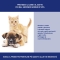 FRONTLINE spray cani gatti - antiparassitario 100 ml
