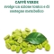 Optima Naturals Caffè Verde Plus Con Noci Di Cola 60 Compresse da 1000 mg - Integratore Ad Azione Tonica