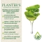 Planter S shampoo luce  idratante all' aloe vera per capelli secchi e sfibrati 200ml