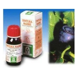 Specchiasol - Soluzione Idroalcolica Mirtillo 31 Tintura Madre 50 ml