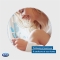 Scholl Velvet Smooth Electronic Nail Care System - Kit Elettronico Per La Cura Delle Unghie