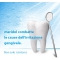 Meridol dentifricio whitening 75 ml