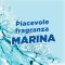  Fresh discs -12 dischetti gel profumati per wc fragranze assortite