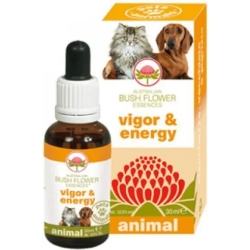 vigor e energy australian bush flower essences gocce 30 ml