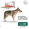 Alevica 20 compresse masticabili - Mangime complementare per cani e gatti