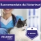 Feliway Ricarica per diffusore 48 ml