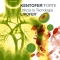 Kentofer Forte 20 capsule - Integratore di Ferro