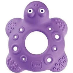 Bob the Turtle tartaruga dentaruolo 5m+