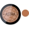 ASTRA Bronze Skin Powder - Terra Abbronzante Compatta N. 10 Cacao