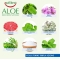 Equilibra Aloe - Collutorio dalla Tripla Azione al gusto di Menta 500 ml