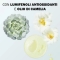 Balsamo Labbra Nutriente 4 gr