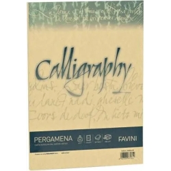 Carta Calligraphy Pergamena A4 - confezione da 50 fogli oro 03