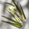 Aloe Vera Esi+ Forte 24 bustine da 20 ml - Integratore di Aloe gusto mirtillo