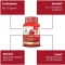 Colours Of Life Optima Naturals Cranberry Vitamina C Ed E 60 Compresse - Integratore Per La Diuresi