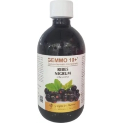 Gemmo 10+ Ribes nigrum liquido analcolico 500 ml - Integratore immunostimolante