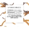 Nutriva Cordyceps 60 Capsule - Integratore Per Le Difese Immunitarie