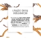 Nutriva Cordyceps 60 Capsule - Integratore Per Le Difese Immunitarie