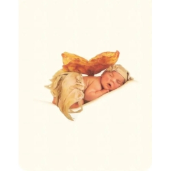 Fairies - Trapuntina Sfilabile Culla
