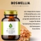 Boswellia 100 Capsule - Integratore Antinfiammatorio