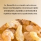 Boswellia 100 Capsule - Integratore Antinfiammatorio