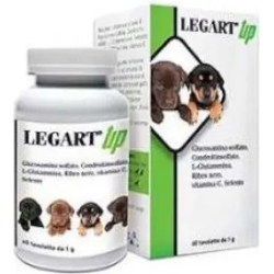 Legart Up 60 Compresse - Utile per le articolazioni dei cani