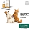 Nefrys - Alimento complementare veterinario 100 ml