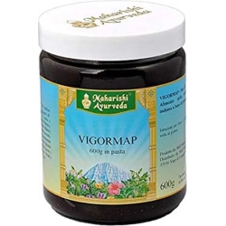 Vigormap Pasta 600 gr - Integratore Ricostituente