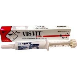Visvit Pasta con Siringa 15 g - Per Cani e Gatti anziani