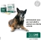 Condrostress + 60 compresse Masticabili - mangime complementare per l'osteoartrosi nel cane