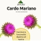 Cardo Mariano E.T. 30 ml - Integratore Per La Funzionalità Epatica