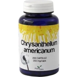 Chrysantellum Americanum 60 capsule - benessere dell'organismo