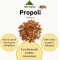 Propoli Estratto Totale 30 ml - integratore per il sistema immunitario