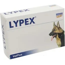 Lypex 60 Capsule - integratore per la salute digestiva dei cani