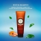 Sandalo Del Kashmir - Doccia Shampoo Al Sandalo Del Kashmir 250 ml