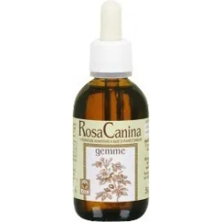 Fitoblasto Rosa Canina 50 ml - Integratore Per Le Vie Respiratorie