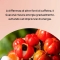 Guarana 100 Capsule - Integratore Per Il Tono Dell'Umore