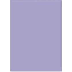 Bristol 220 Sigillo T3 - 20 Cartoncini 35 x 50 cm Viola