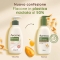 Daily Moisturising - Crema Corpo Yogurt Al Profumo Di Albicocca E Miele 300 ml