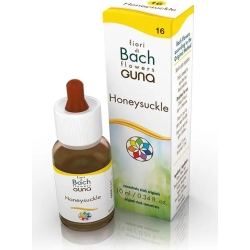 Guna Fiori di Bach Honeysuckle 16 - Integratore per la memoria 10 ml gocce